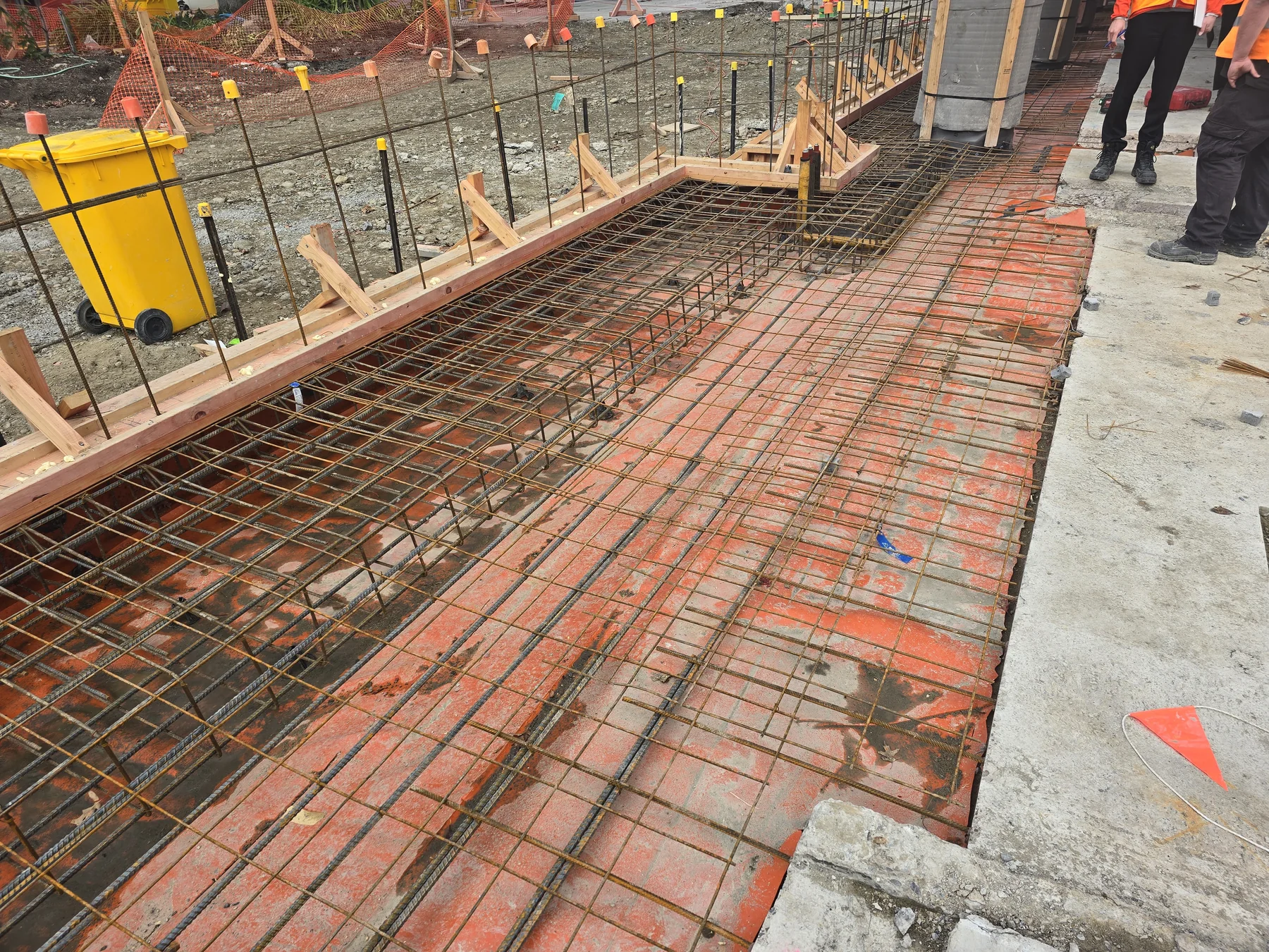 Reinforcing steel prepared for new concrete works at the George Forbes Building